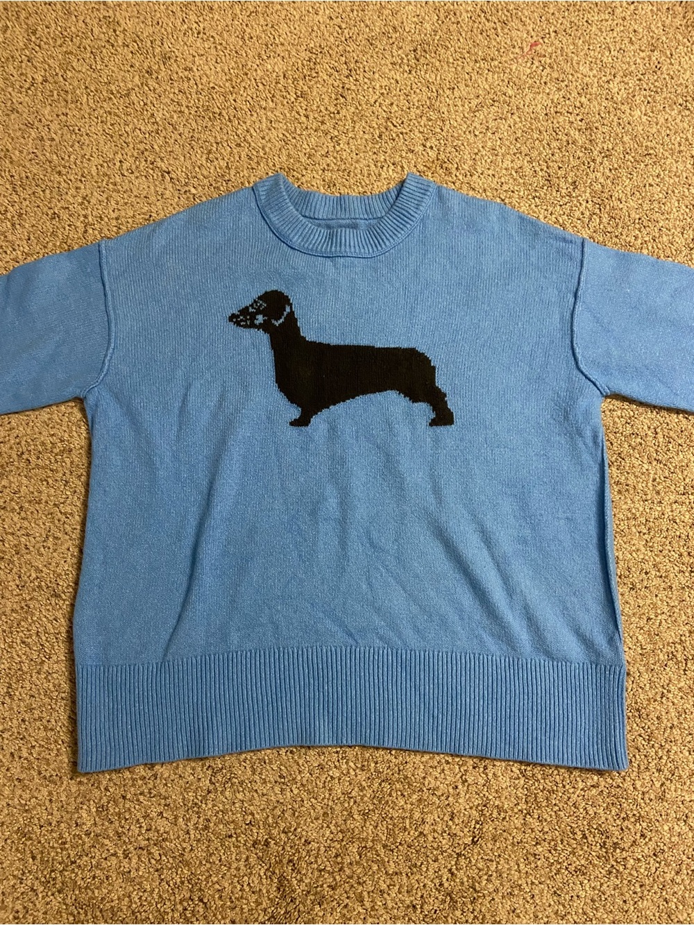 Aerie Softest Luxe Crew Sweater Blue Dachshund Dog Graphic S pullover oversized - Picture 2 of 9
